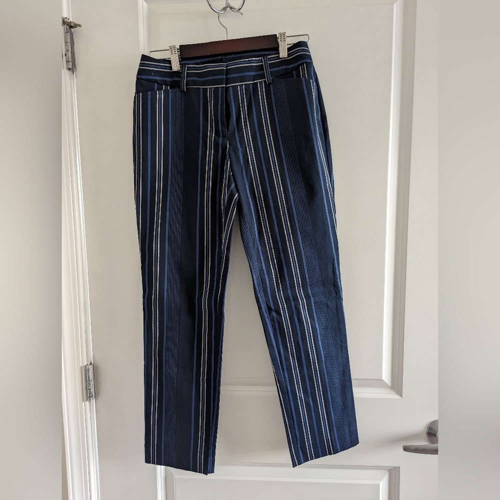 Ann Taylor Pants